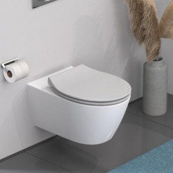 Duroplast WC-Sitz SLIM Grey, mit Absenkautomatik und Schnellverschluss