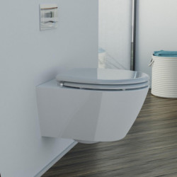 Duroplast WC-Sitz GREY, mit Absenkautomatik und Schnellverschluss