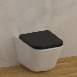 WC-Sitz BLACK TÜV geprüft in E-Form