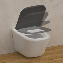 WC-Sitz BLACK TÜV geprüft in E-Form