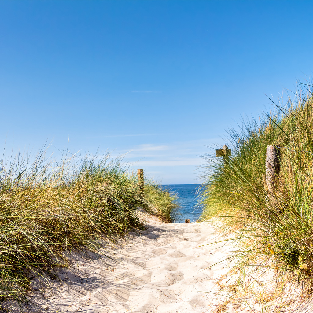 Weg zu Strand mit Meerblick