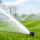 Welches ist das beste Bewässerungssystem für den eigenen Garten?